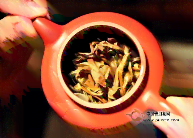 普洱茶泡法：用茶壶还是茶碗更好？