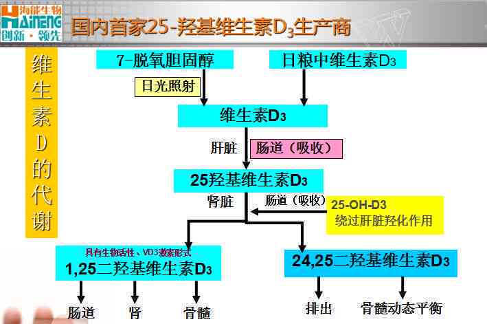 数据逾期问题全面解析：原因、影响及解决方案