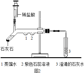 探究普洱茶制作过程中的关键工序与工艺技术