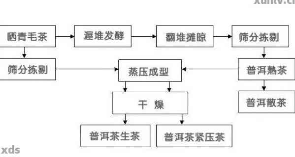 揭秘普洱茶制作的关键技术流程及其影响因素