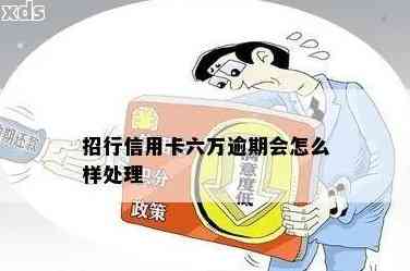 逾期4个月的信用卡6万额度会产生哪些后果？如何解决信用卡逾期问题？