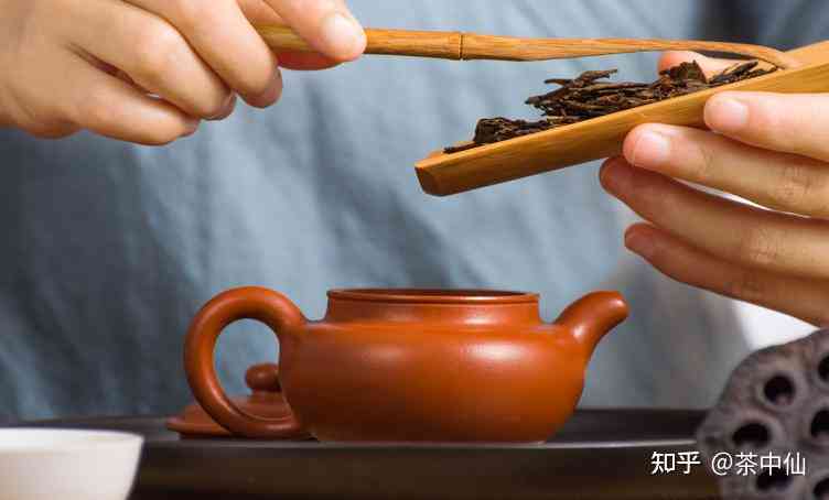 '紫砂壶泡老普洱茶好吗有吗安全吗：探究紫砂壶泡普洱茶的安全性及效果'