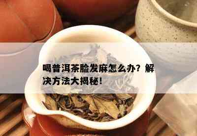 探究熟普洱茶特殊气味的成因与解决方法