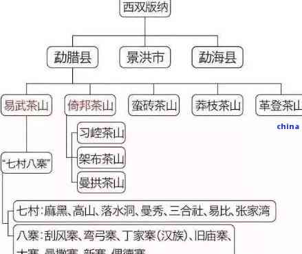 探索普洱茶口感的极致之选：各大山头香气比较