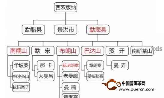 普洱茶各山头口感对比：哪个山头的普洱茶味道？探索各种茶叶的独特风味