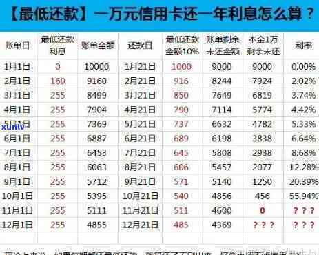 信用卡欠款3元，10天后不还款的后果与解决方法