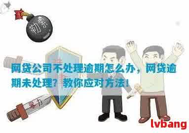 网贷逾期了怎么还：万投资管理公司及其他途径解决办法