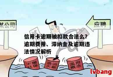 全面了解信用卡逾期违约金及利息：合法性、计算方法和应对措