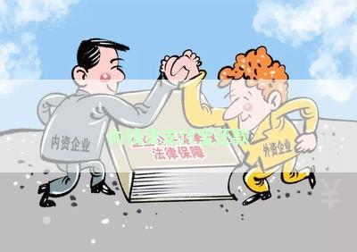 税务贷款无法还款的后果：个人是否需要承担全部责任？