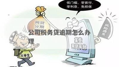 税务贷会有多少人逾期