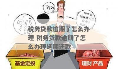 税务贷会有多少人逾期