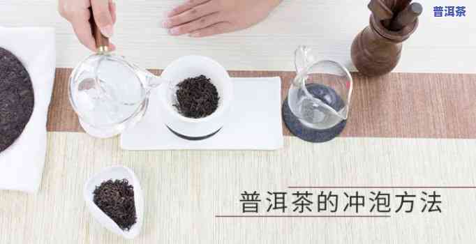 冲泡普洱茶使用多少目滤网