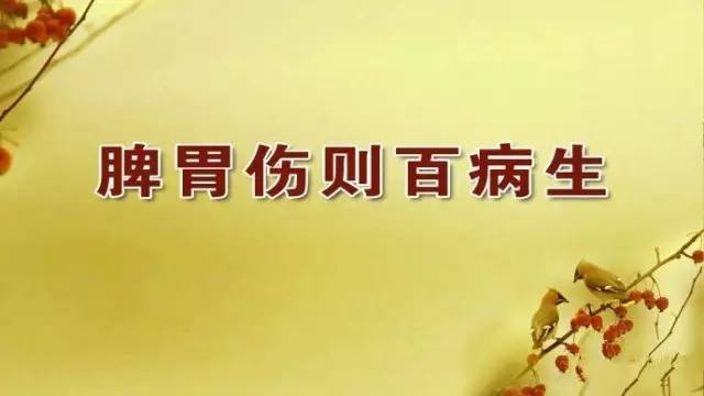 脾胃虚寒体质如何饮普洱茶以中散寒？媒体与医生的建议揭示健之道