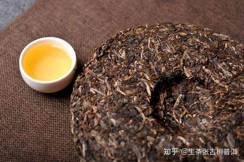 探索普洱茶的不同形态：散茶与饼茶的对比分析