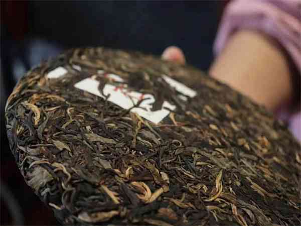 广东地区普洱茶保存技巧：生茶与熟茶的不同方法