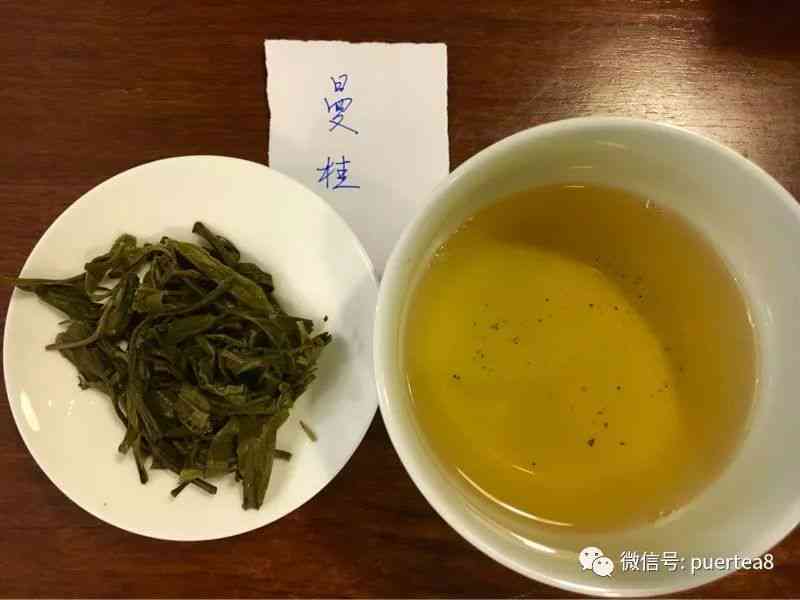 猫耳朵普洱茶价格高的原因解析：品种、产地、制作工艺等多个方面全面解答