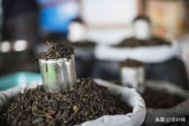 云南滇南古韵普洱茶：生茶与熟茶的价格差异及选购指南