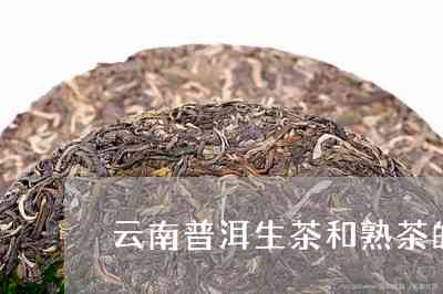 云南滇南古韵普洱茶：生茶与熟茶的价格差异及选购指南