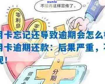 信用卡逾期一个月分期还款指南：如何应对逾期、期利息及解决方案