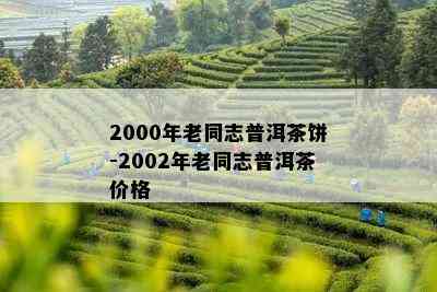 2002年老同志阿里京东普洱茶批发价格分析