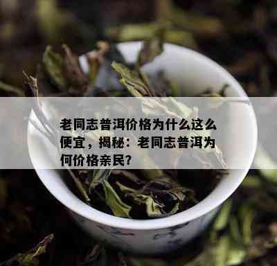 20年念茶：老同志，价格，品质及购买渠道全面解析