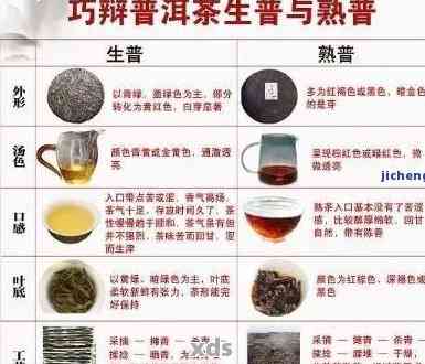 新全面解析高端普洱茶：哪些更具品质与口碑？