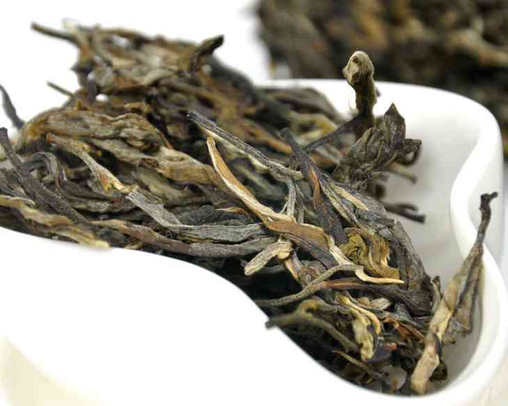 冰岛茶与普洱茶的区别：它们是否属于同一种茶？