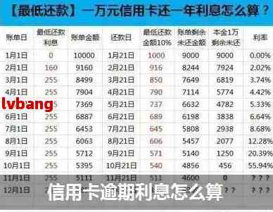 信用卡逾期一个月的全面解决指南：利息、滞纳金及还款策略