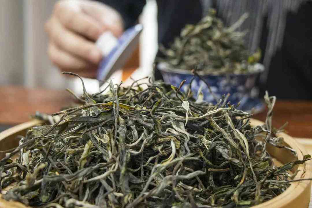 2014年勐古树茶在上的价格分析