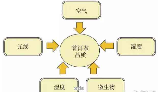 全面解析普洱茶仓机理：科学体系下的生产、品质与保存方法