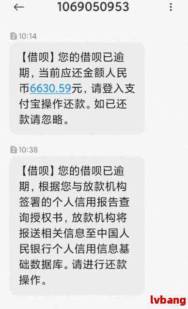 逾期半个月后成功归还网贷：解决方法与经验分享