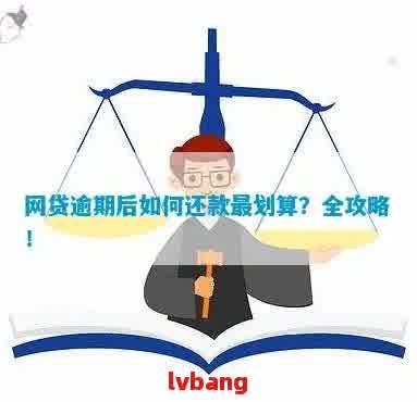 逾期半个月后成功归还网贷：解决方法与经验分享