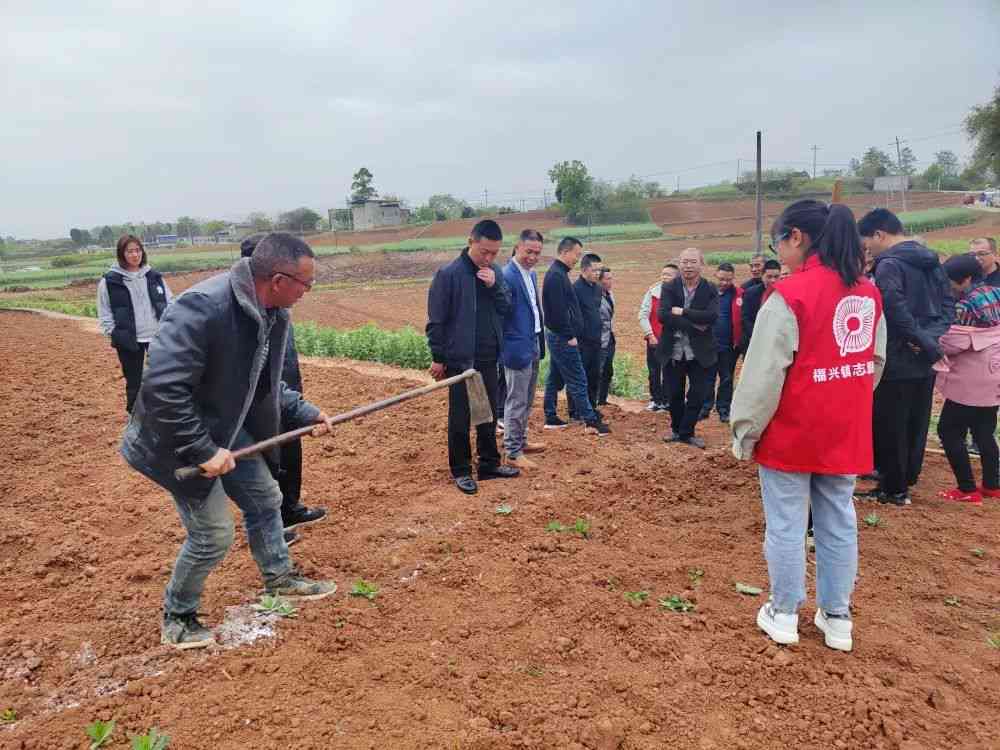 玉豆种：种植时间、技术与方法，哪种更好？