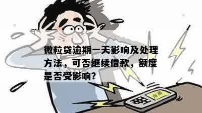 逾期一天的微粒贷是否会采取措？如何避免影响借款方还款情况？