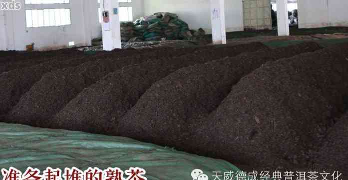 普洱熟茶发酵工艺的全面研究：从原料、发酵条件到品质分析