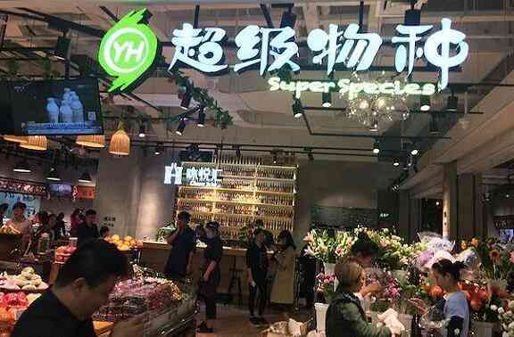 2019年天猫旗舰店普洱茶销售数据揭秘：更具人气商品与消费者偏好排行