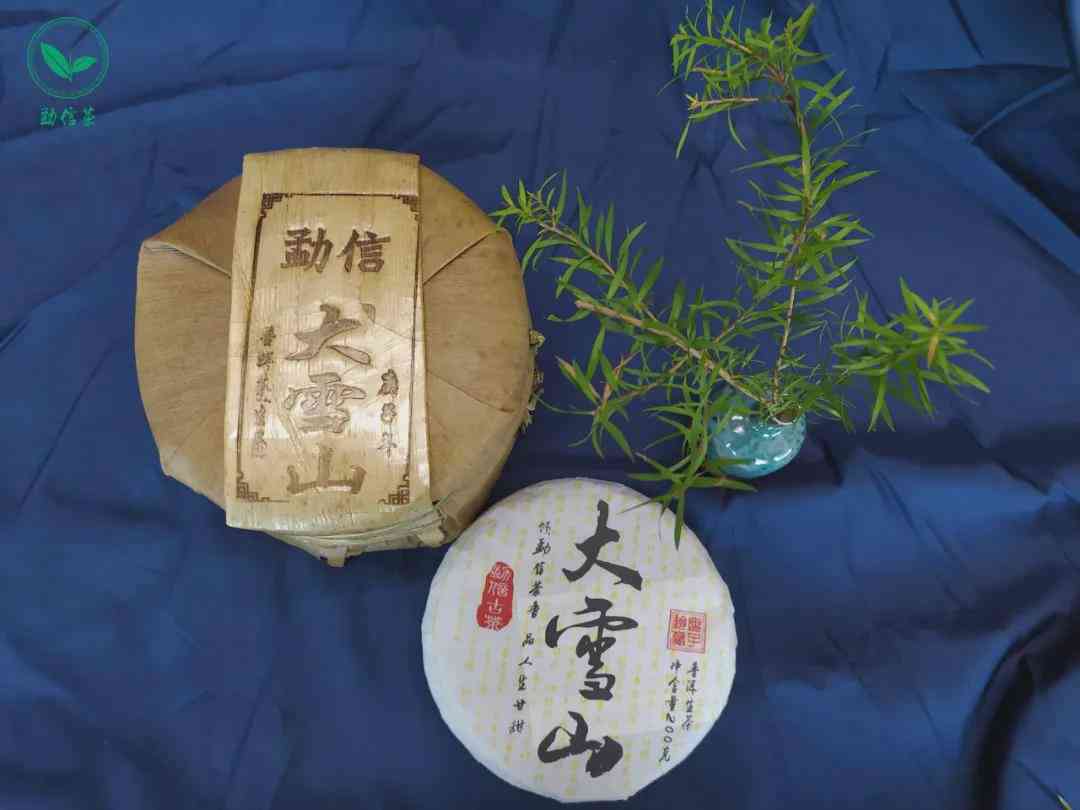 380克普洱茶饼：品质、口感与冲泡方法的全面解析