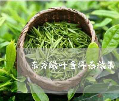 东方青叶普洱茶怎么样好喝吗