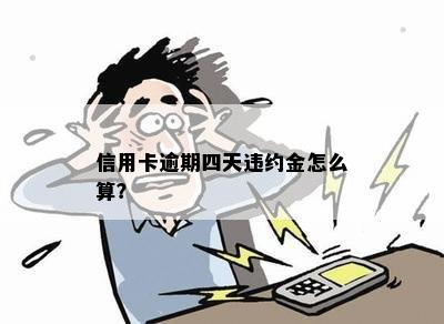 信用卡逾期四天怎么扣