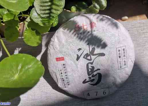 冰岛普洱茶多少钱一个饼：2008年的价格，饼的规格和单价解析