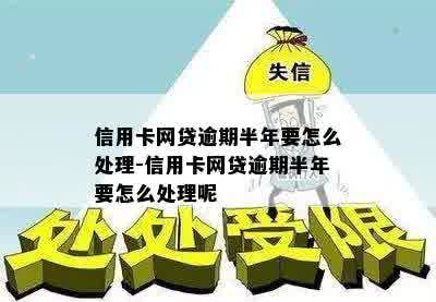 逾期一年半的网贷信用卡处理方法大揭秘