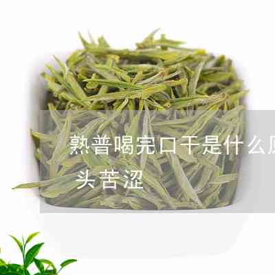 普洱茶喝着口干口苦什么原因