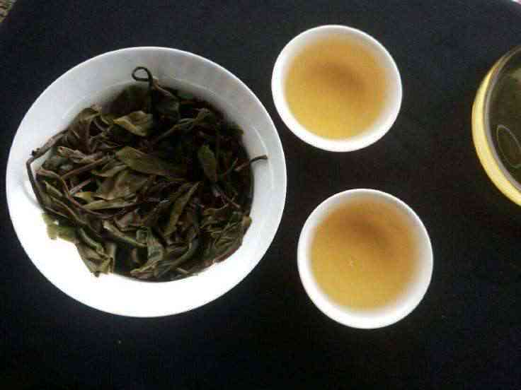 冰岛普洱茶生茶5斤大饼茶