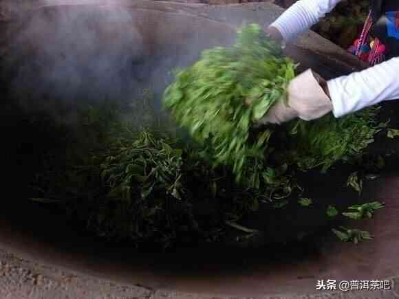 探究普洱茶杀青的传统工艺：多样化的种类与独特方法解析