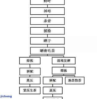 制普洱茶的6道工序是什么