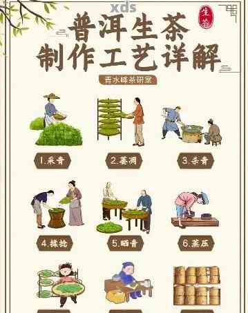 制普洱茶的6道工序是什么