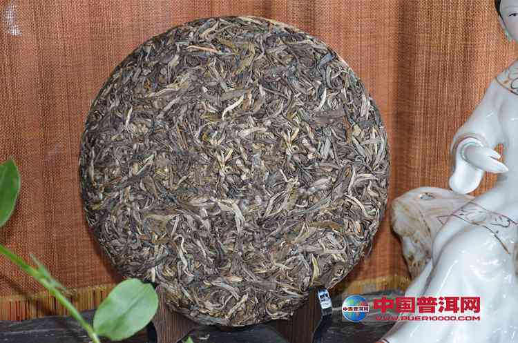 圆饼普洱茶泡茶时需要揉碎吗