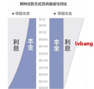 网贷2万每个月还多少利息：合理与正常还款模式分析