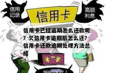 信用卡逾期还款全攻略：如何处理、后果及解决方法一文看懂！