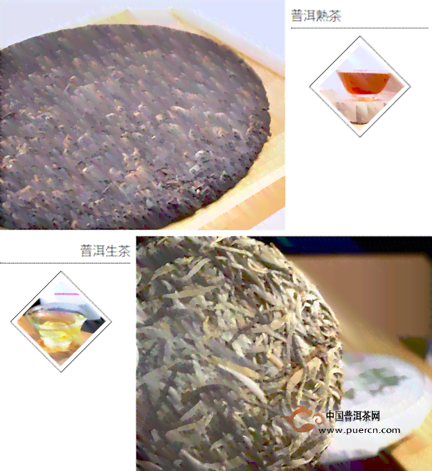 龙珠普洱茶：生茶还是熟茶？哪个更好？